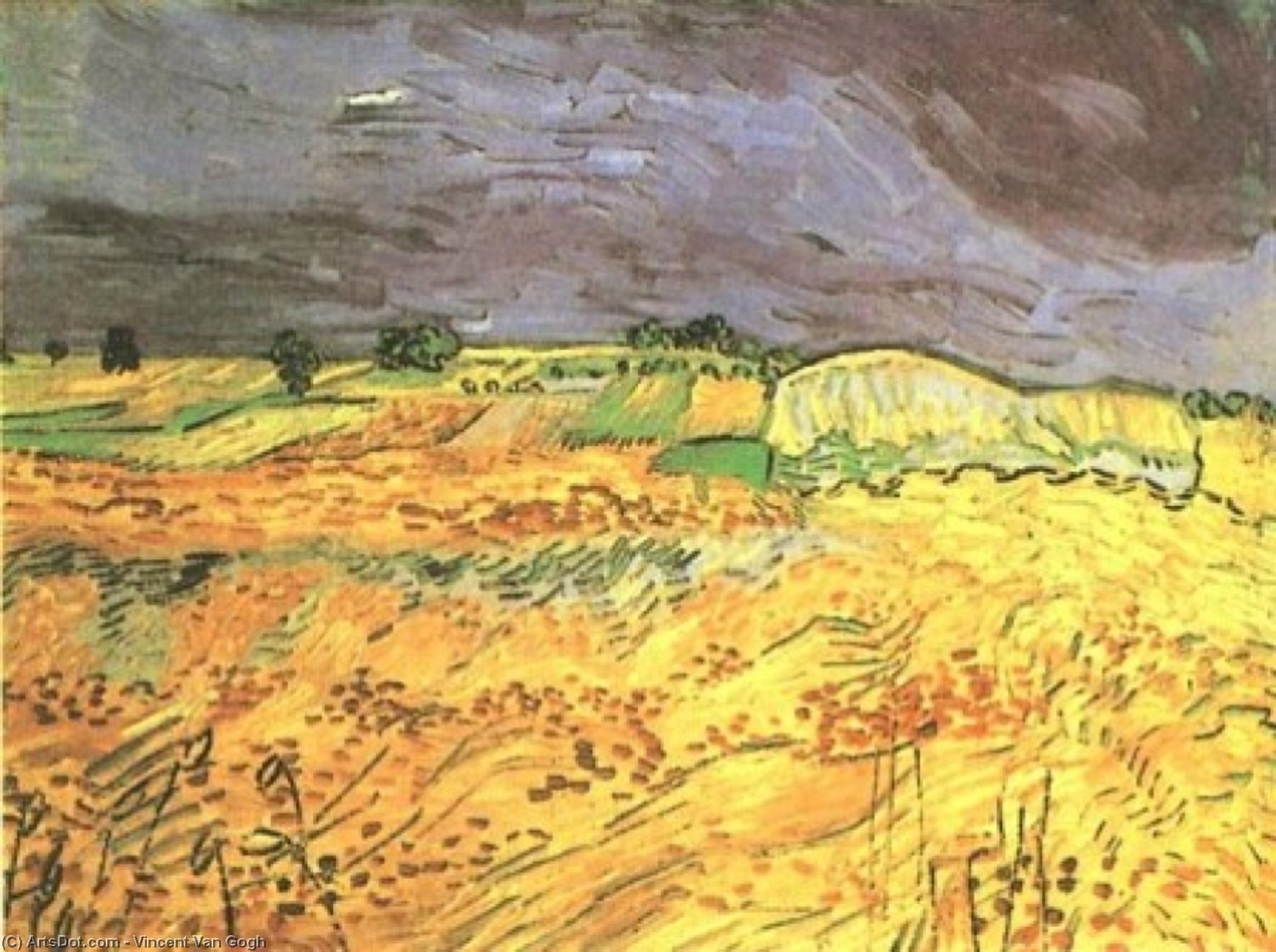 Fields, The — Vincent Van Gogh