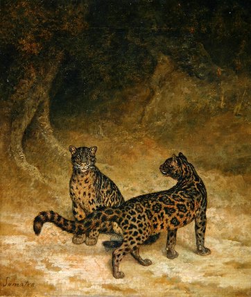 Clouded Leopards, C.1825 par Jacques Laurent Agasse, peint à la main à l'huile sur lin