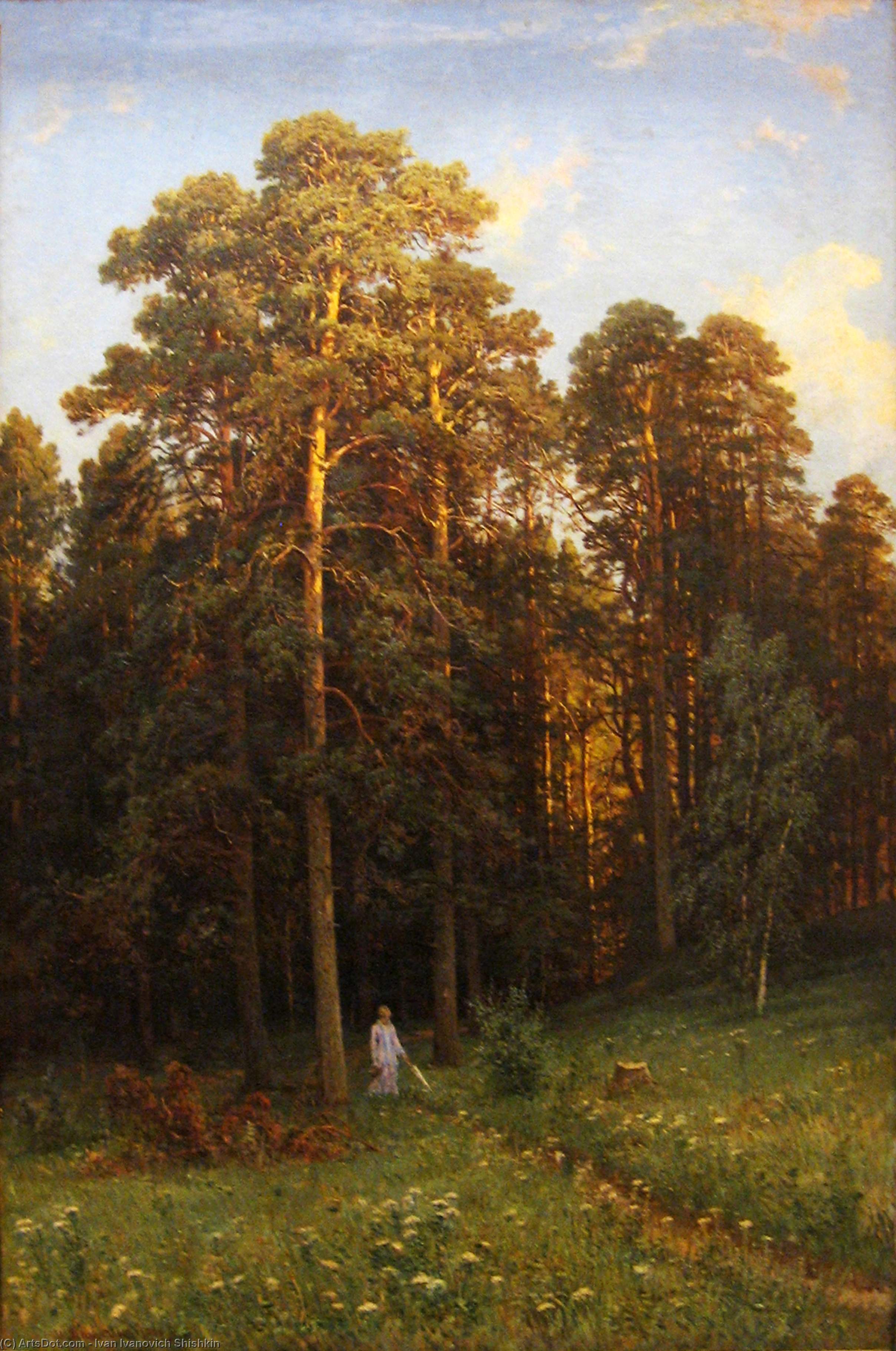 At The Edge Of A Pine Forest — Ivan Šiškinas
