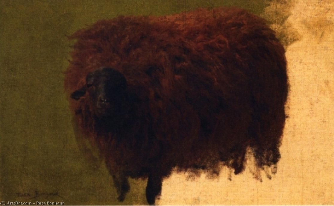 Large Wooly Sheep (also Known As Wether) — Rosa Bonheur