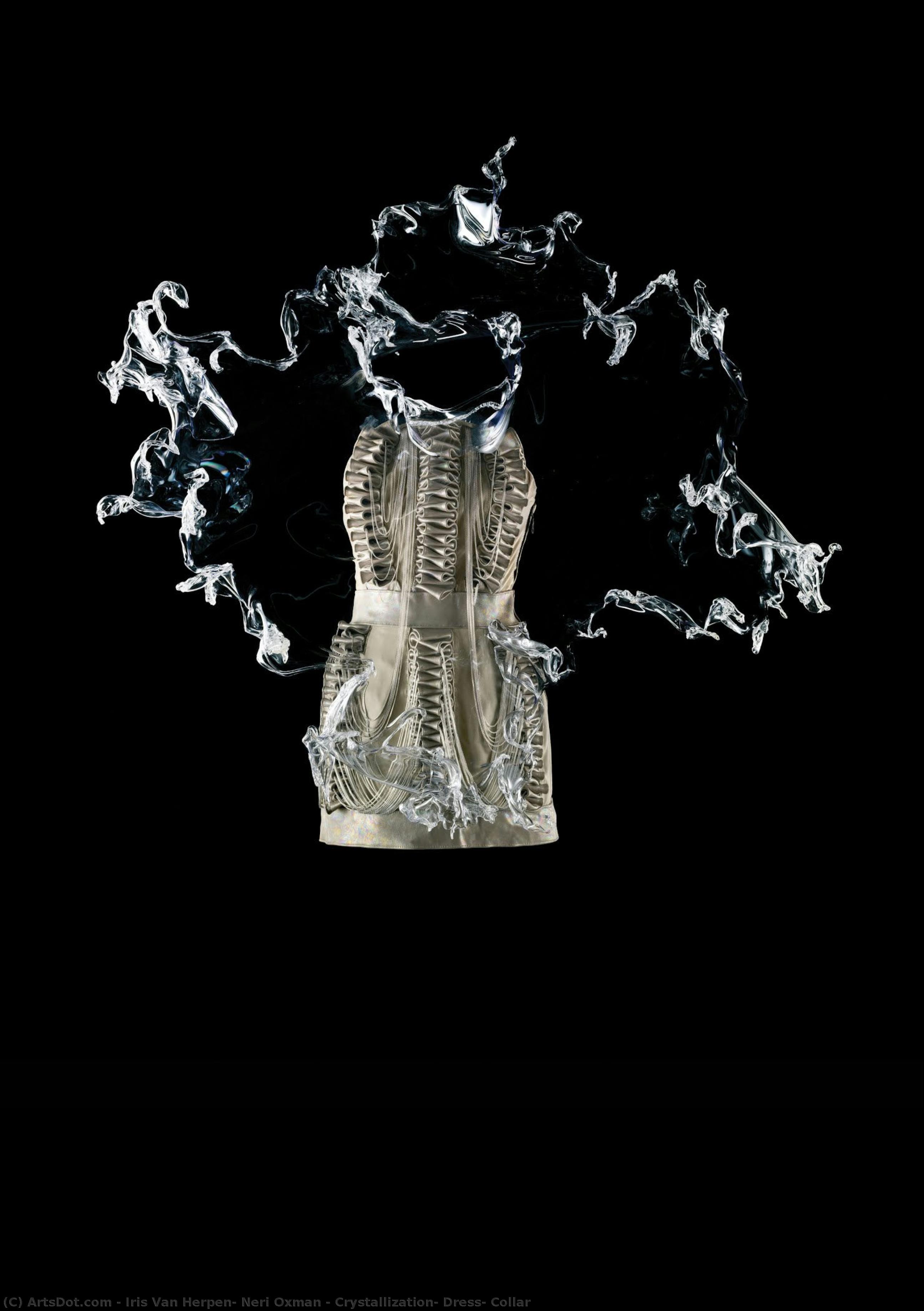 Cristallisation, Robe, Col by Iris Van Herpen, Neri Oxman, painted by hand in oil on linen