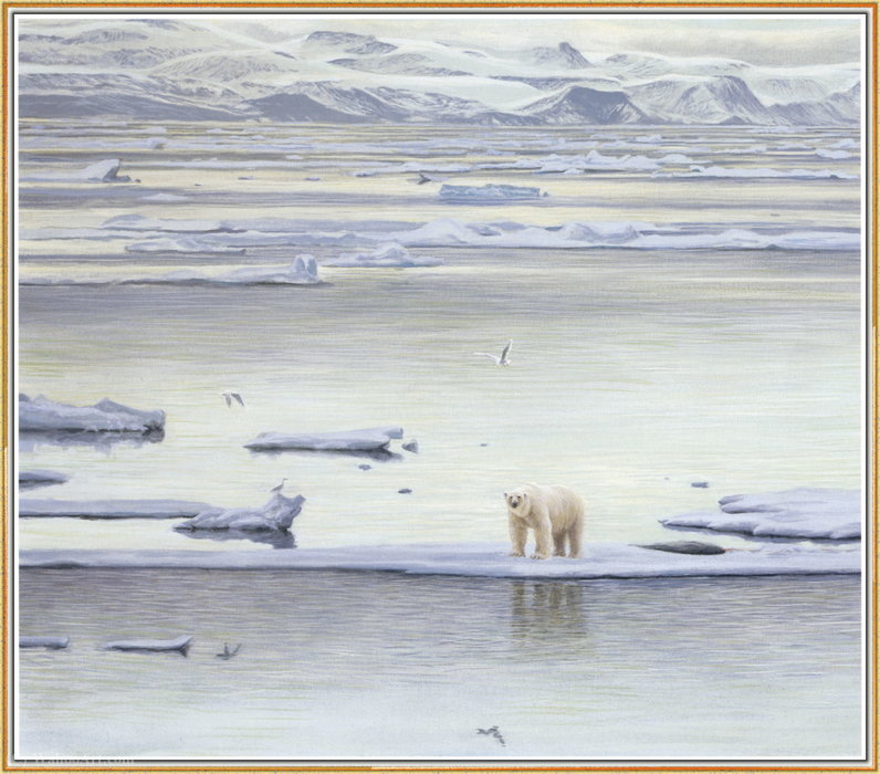 Arctic Ice - Polar Bear — Robert Bateman