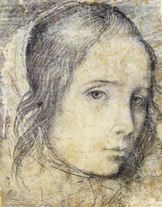 Untitled — Diego Rodríguez De Silva Y Velázquez