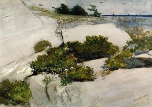 Maine Klipper — Winslow Homer