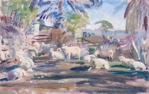 Studium Owiec Exmoor — Alfred Munnings