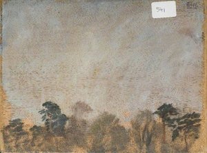 Study Of Trees (verso) — Sir Alfred James Munnings