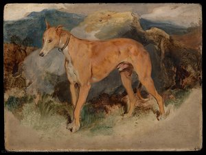 A Deerhound — Edwin Henry Landseer