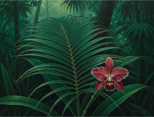 Crimson Solitude In The Emerald Understory — Guillaume Rolland