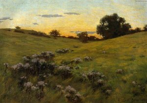 Flowering Field — Arturas Veslis Dau