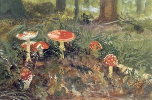 Fly Agarics (etude) — Ivan Ivanovich Shishkin