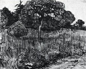 The Park At Arles — Vincent Willem Van Gogh