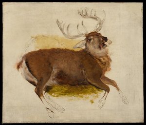 Dying Stag — Edwin Henry Landseer