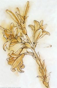 Lily (detail) — Leonardo Da Vinci