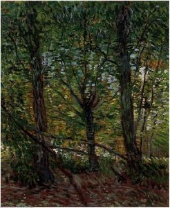 Trees And Undergrowth — Vincent Van Gog, Post-impressionism