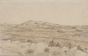 Vue De La Crau (the Plain Of La Crau) — Vincent Willem Van Gogh