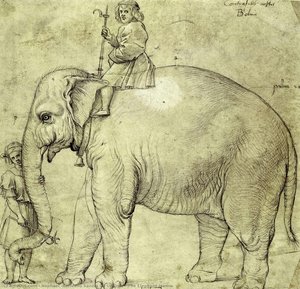 The Elephant Hanno — Raphael