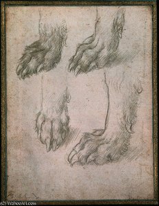 Estudio De Las Patas De Un Lobo — Leonardo Da Vinci