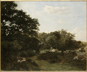 Forêt De Fontainebleau