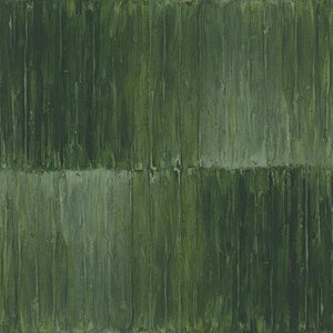 Monochromatic Echoes Of Moss And Sage In A Singular Vertical Descent — Laurent Vionnet