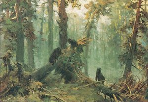 Morning In Piny Wood (study) — Ivan Ivanovich Shishkin