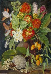 New Zealand Flowers And Fruit