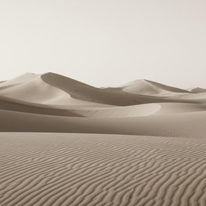 Ethereal Whispers Of Sand: A Monochromatic Study In Infinite Serenity And Flow — Laurent Roche