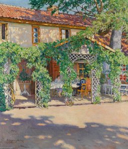 dacha in the summer