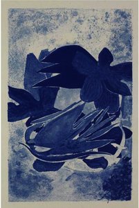 The Transparent Lyrics — Georges Braque