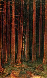 Sunset In The Forest — Arkhip Ivanovich Kuindzhi