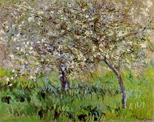 Apple Trees In Bloom At Giverny