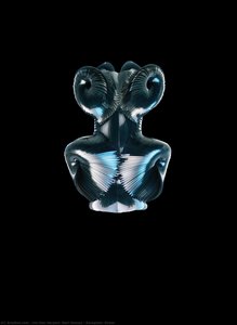 "flukt", Kjole — Iris Van Herpen, Neri Oxman