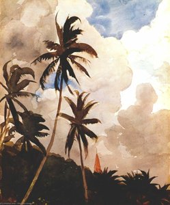 Palmer — Winslow Homer