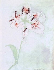 Lily — Piet Mondrian