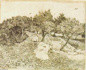 The Olive Trees — Vincent Willem Van Gogh