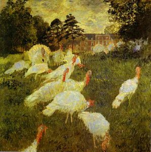 White Turkeys