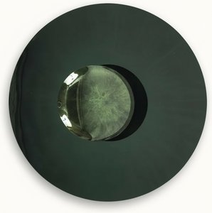 Forest Green 3D Vinyl Record Wall Sculpture