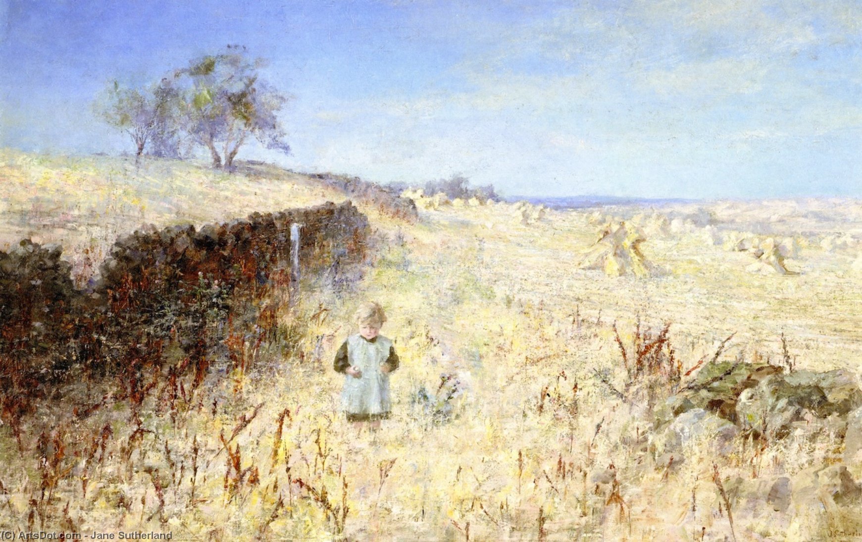 Far-a-field — Jane Sutherland