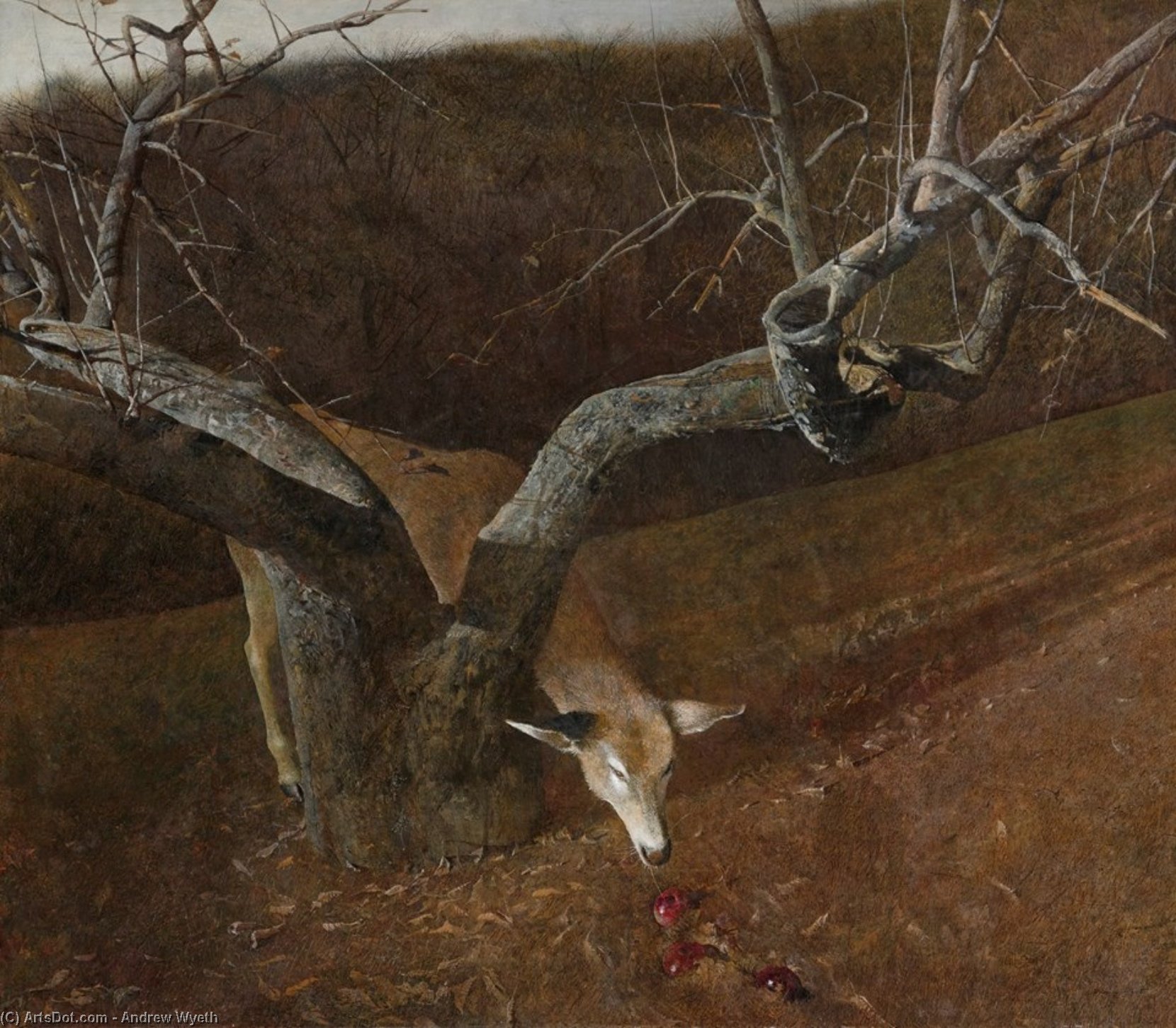 Jacklight — Andrew Newell Wyeth