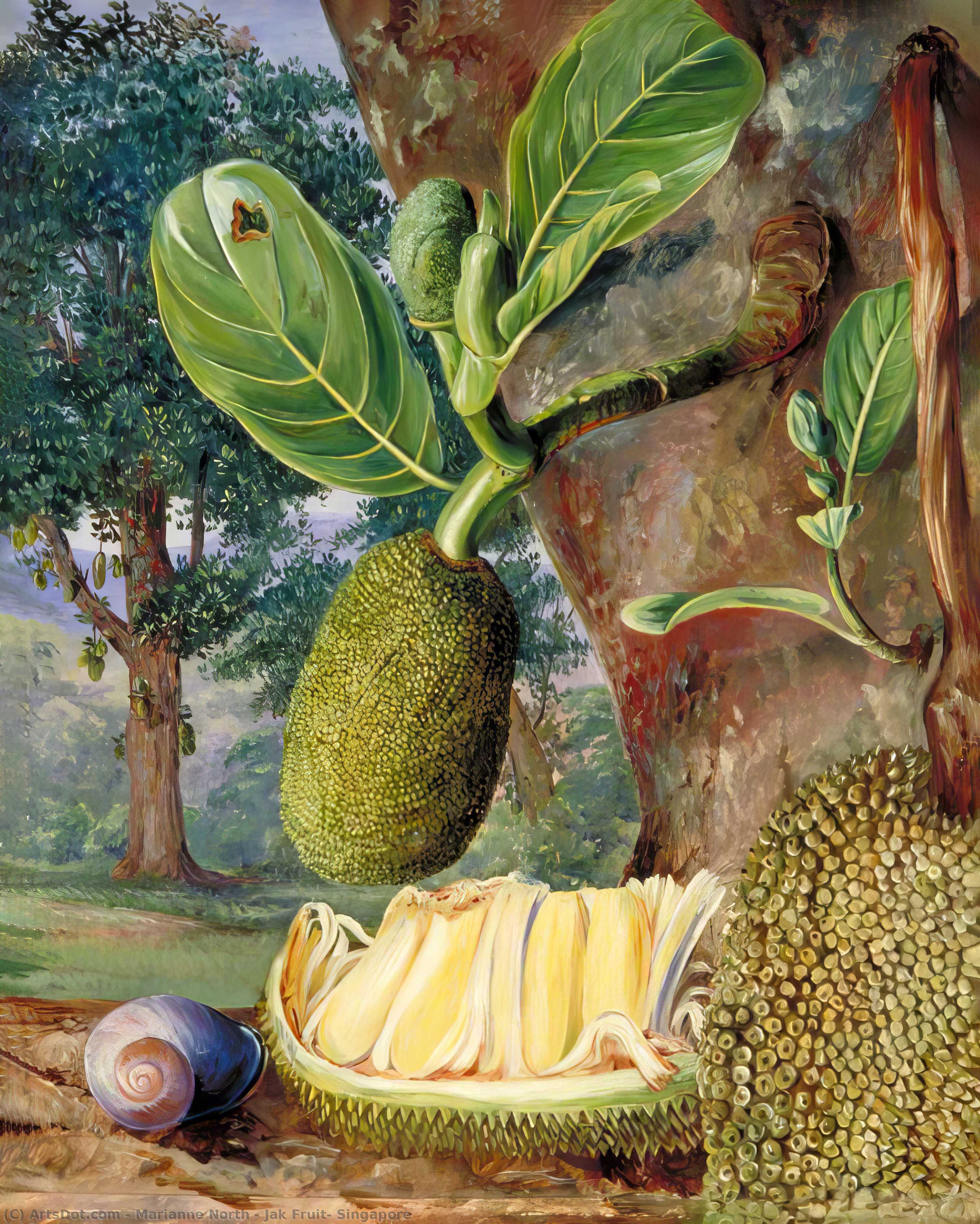 Džak Šiuolis, Singapūras — Мариан Норт