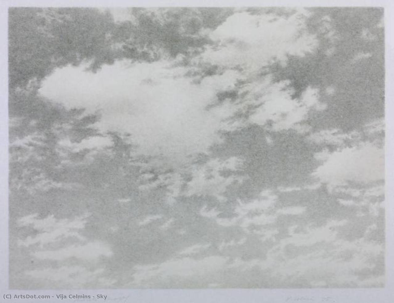 Sky — Vija Celmins