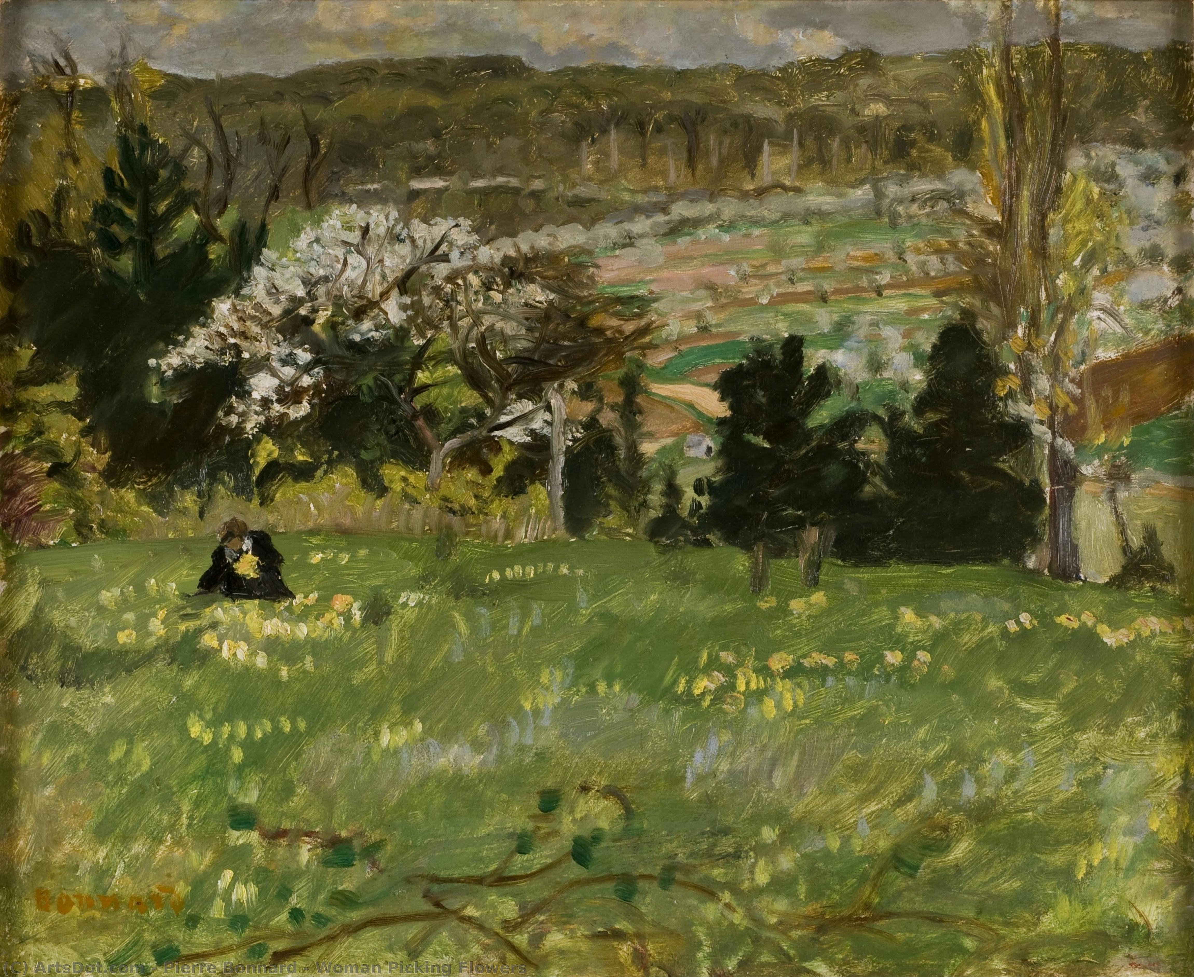 Donna Raccoglie Fiori — Pierre Bonnard