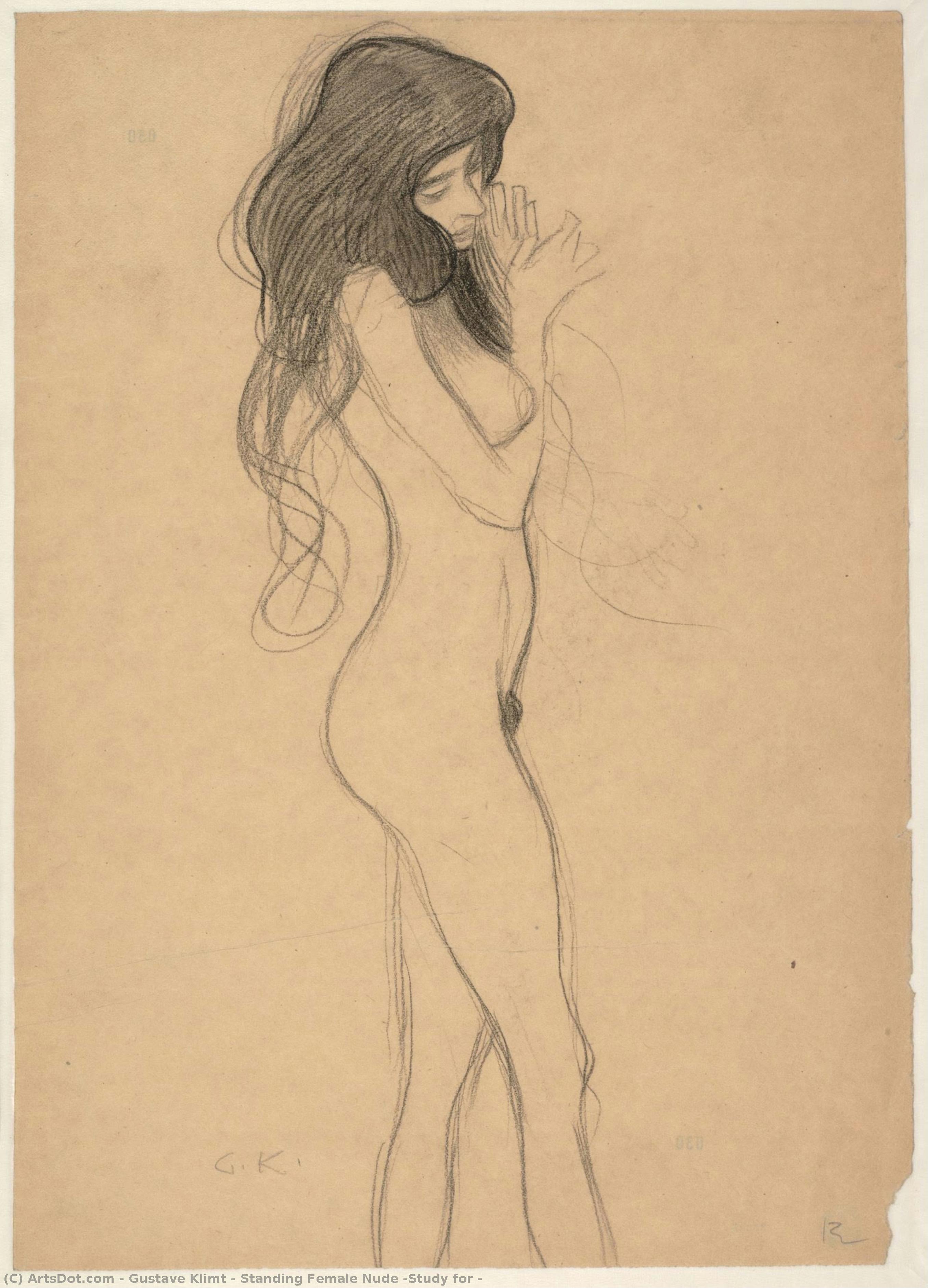 Výběžná Ženská Nude (studie Pro — Gustav Klimt