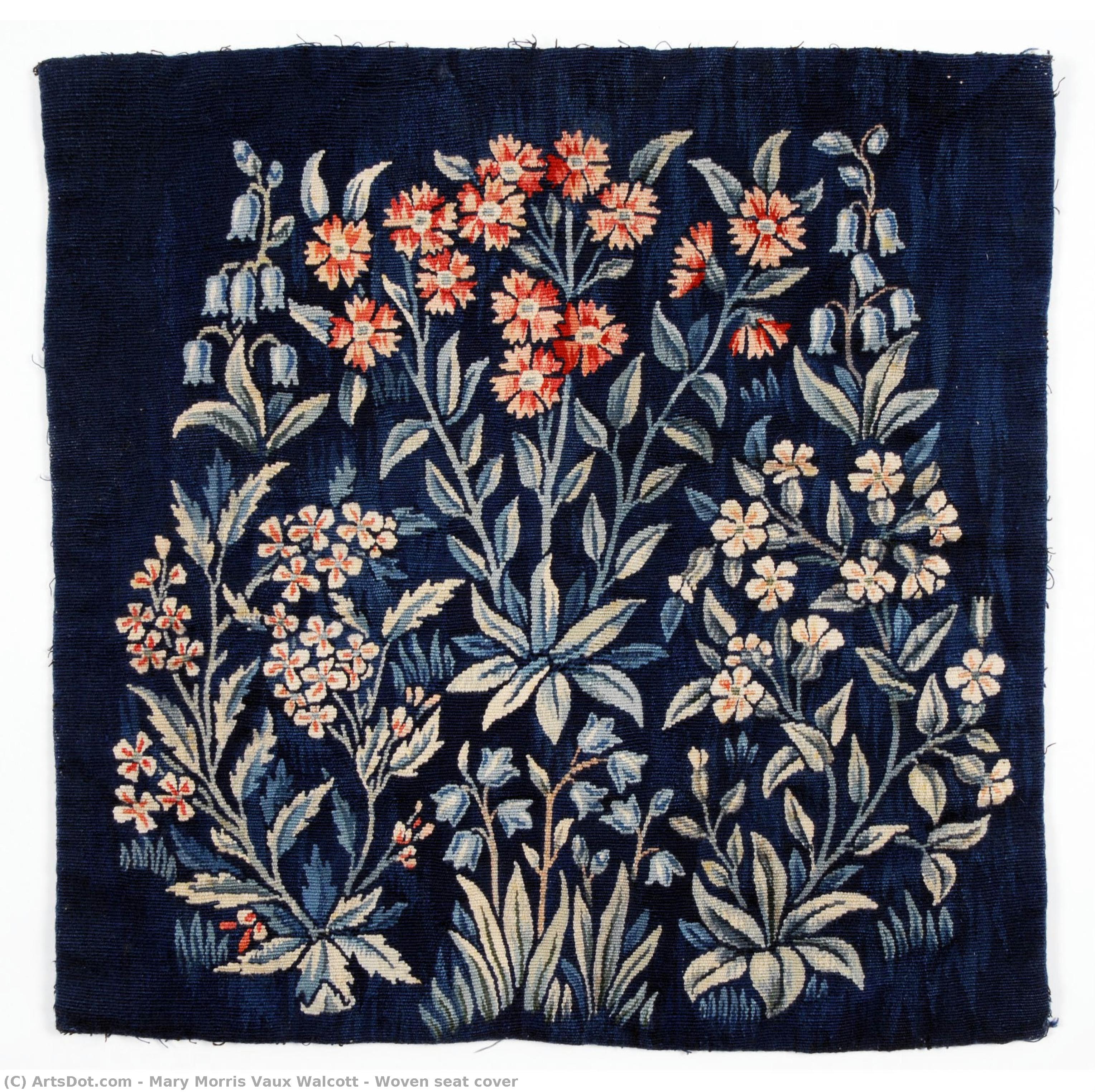 Vevde Sittecover — Mary Vaux Walcott