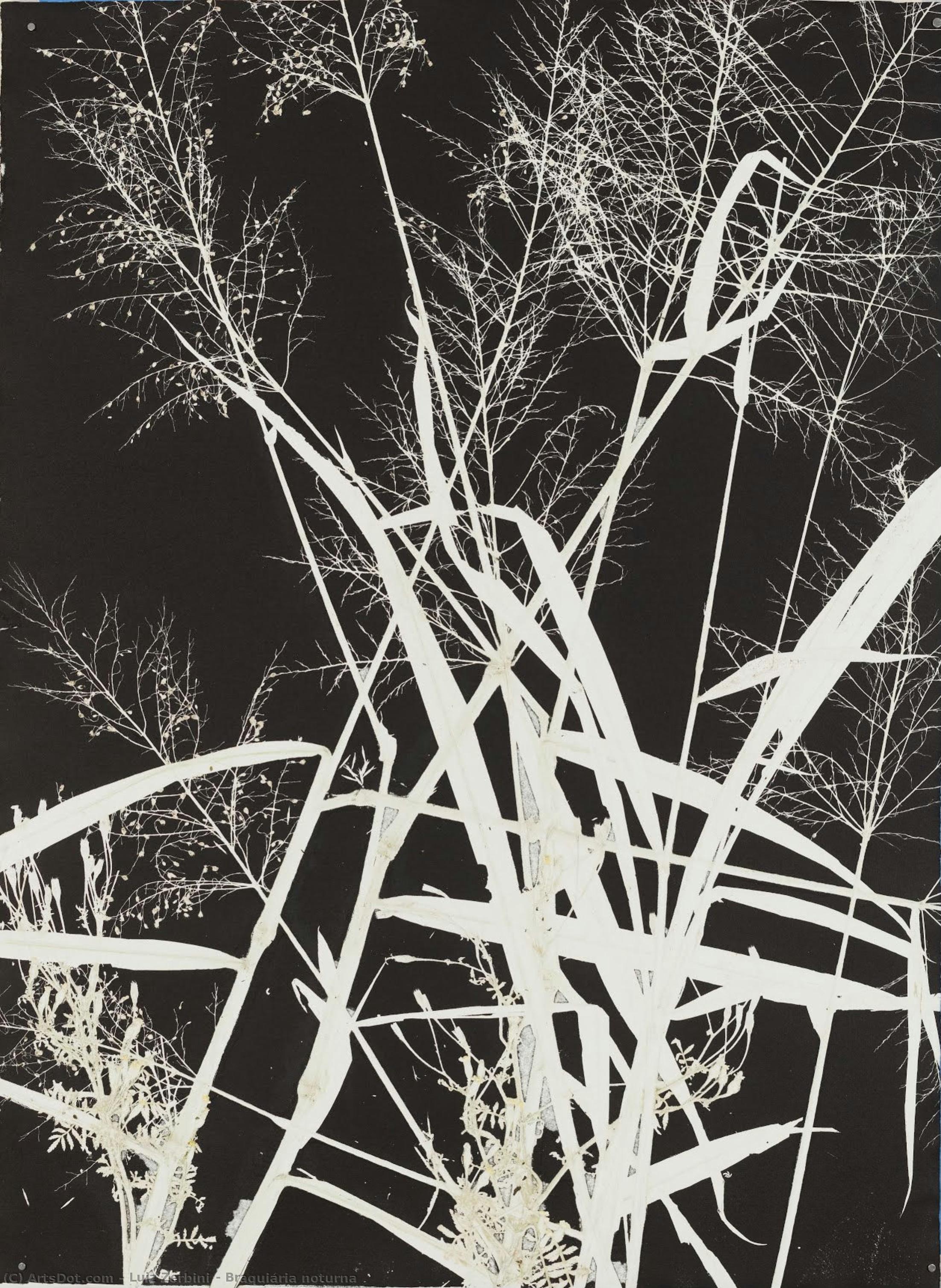 Braquiária Noturna — Luiz Zerbini