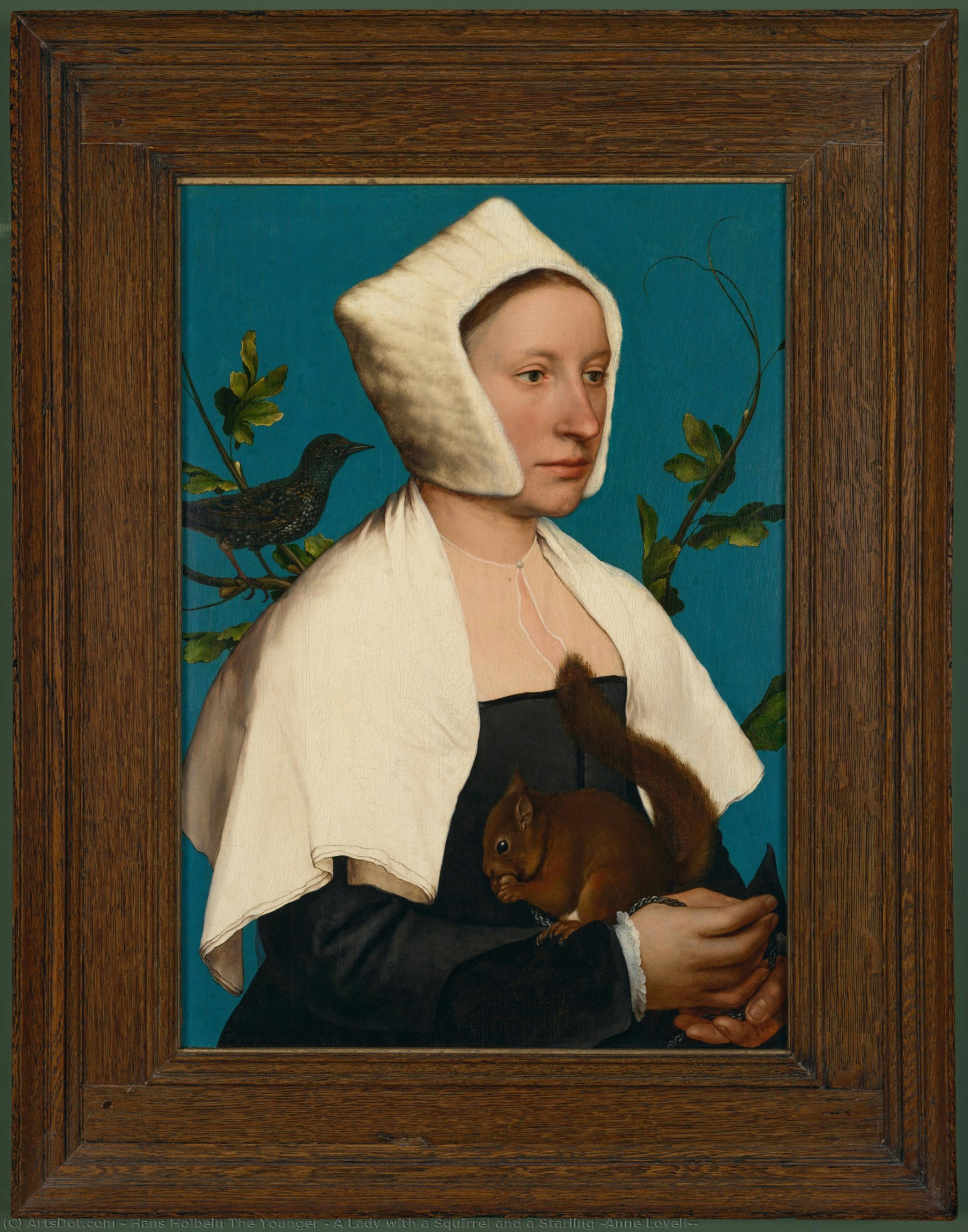 Une Dame Avec Un Écureuil Et Une Sérénité — Hans Holbein Le Jeune