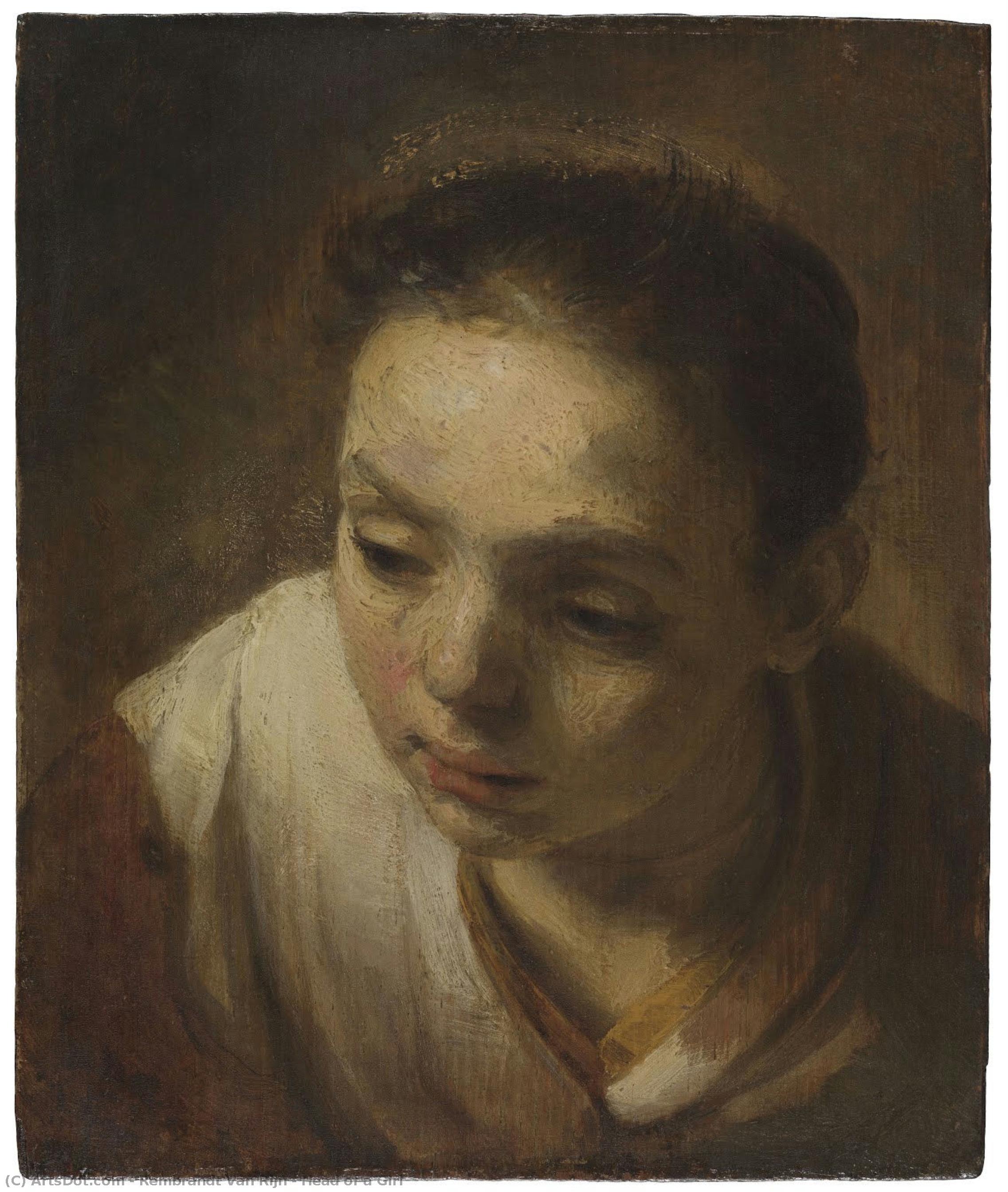 Rembrandtas, Head of a Girl
