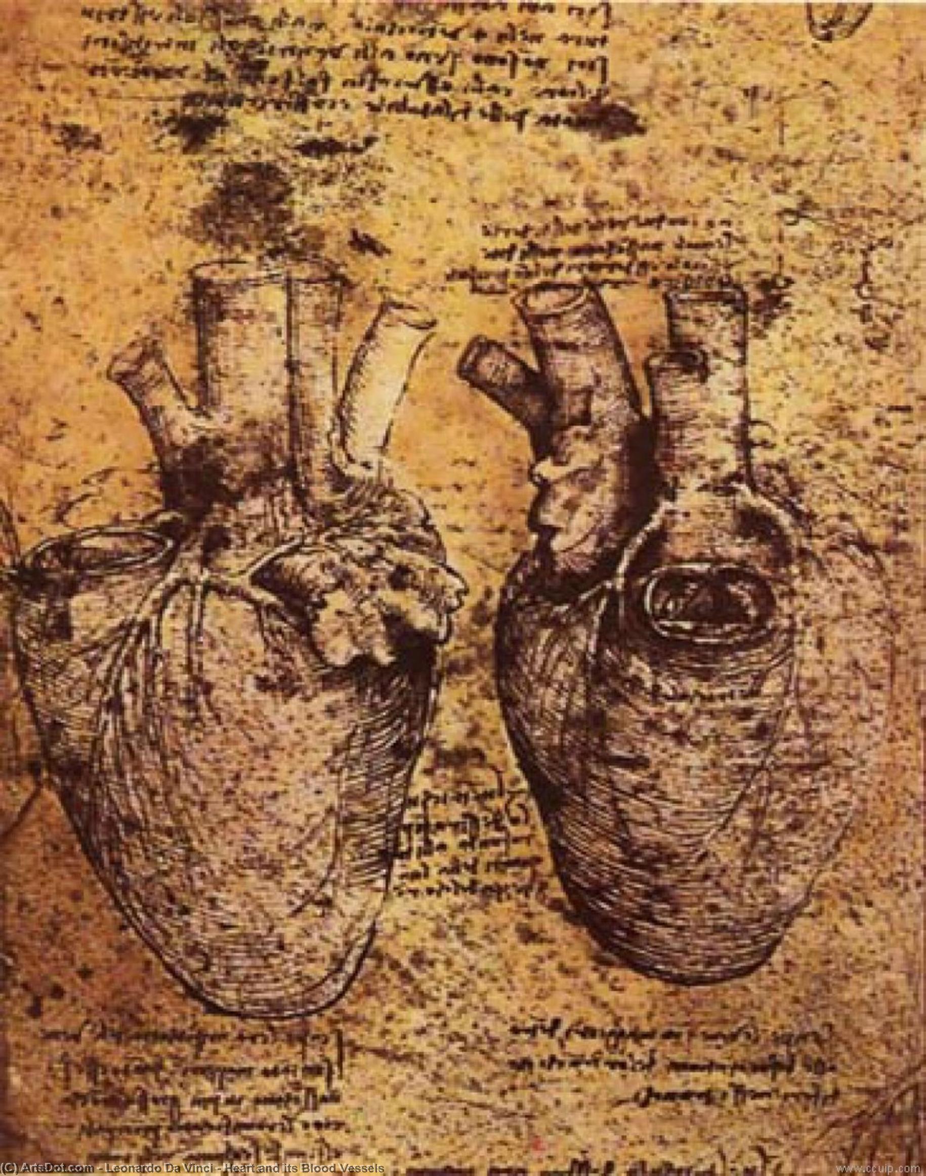 Leonardo Da Vinci Renaissance Da Vinci Biblioteca Ambrosiana, Milan Drawing High Renaissance Anatomical Detail Human Anatomy Srdce A Jeho Krvni Sudovi C.1500 — Leonardo Da Vinci