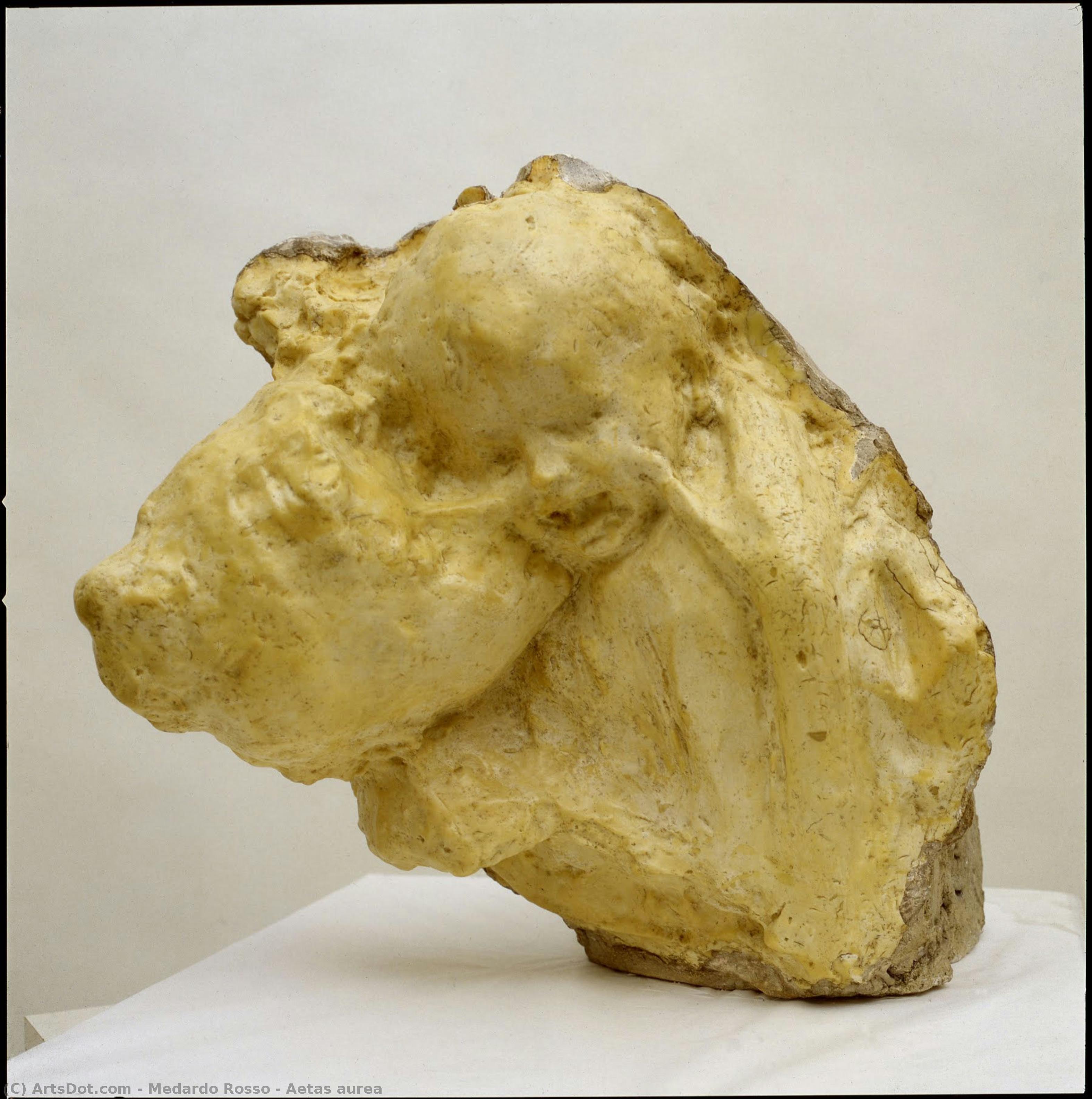 Aetas Aurea — Medardo Rosso