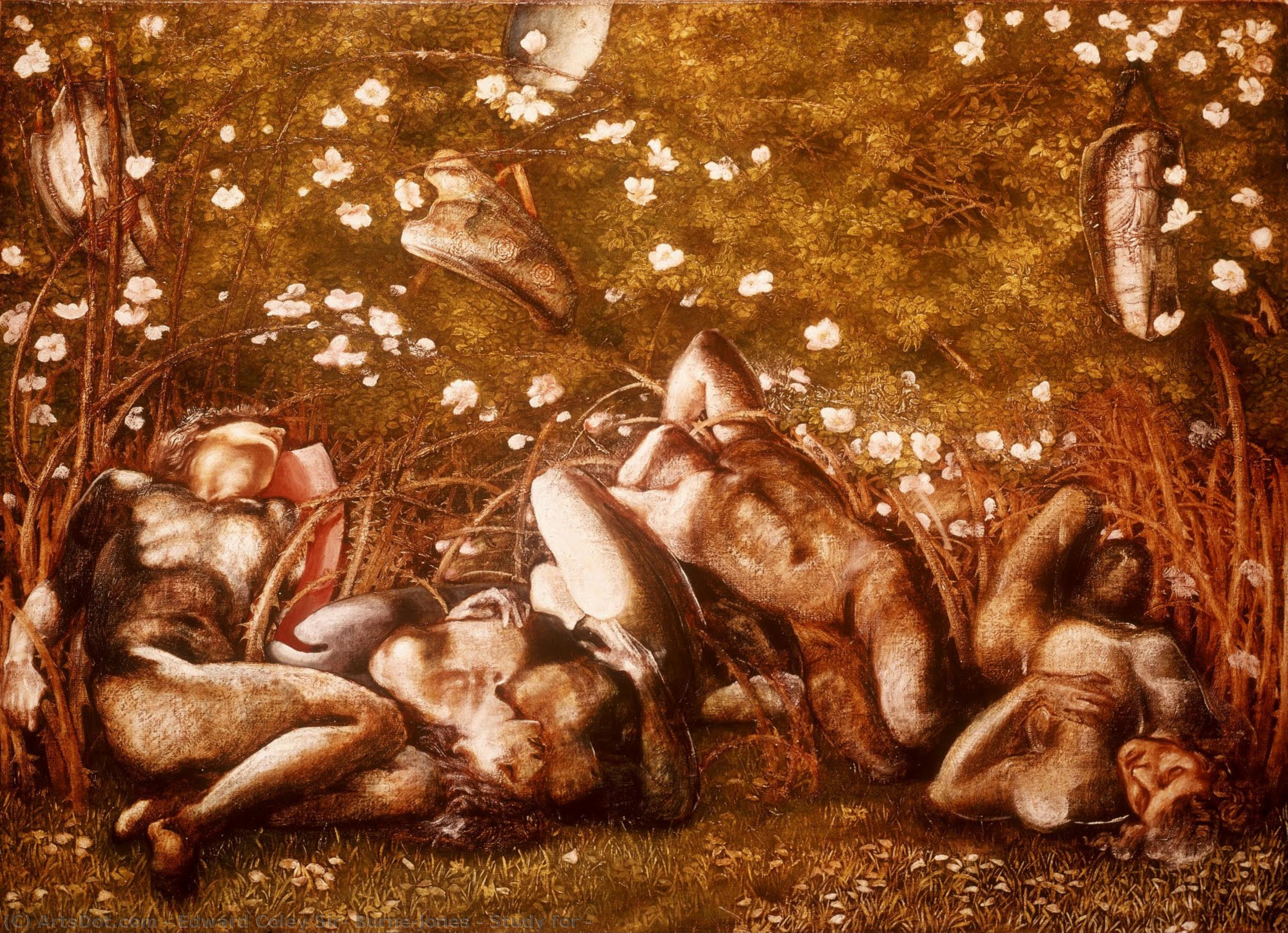 Study For — Edward Burne-jones