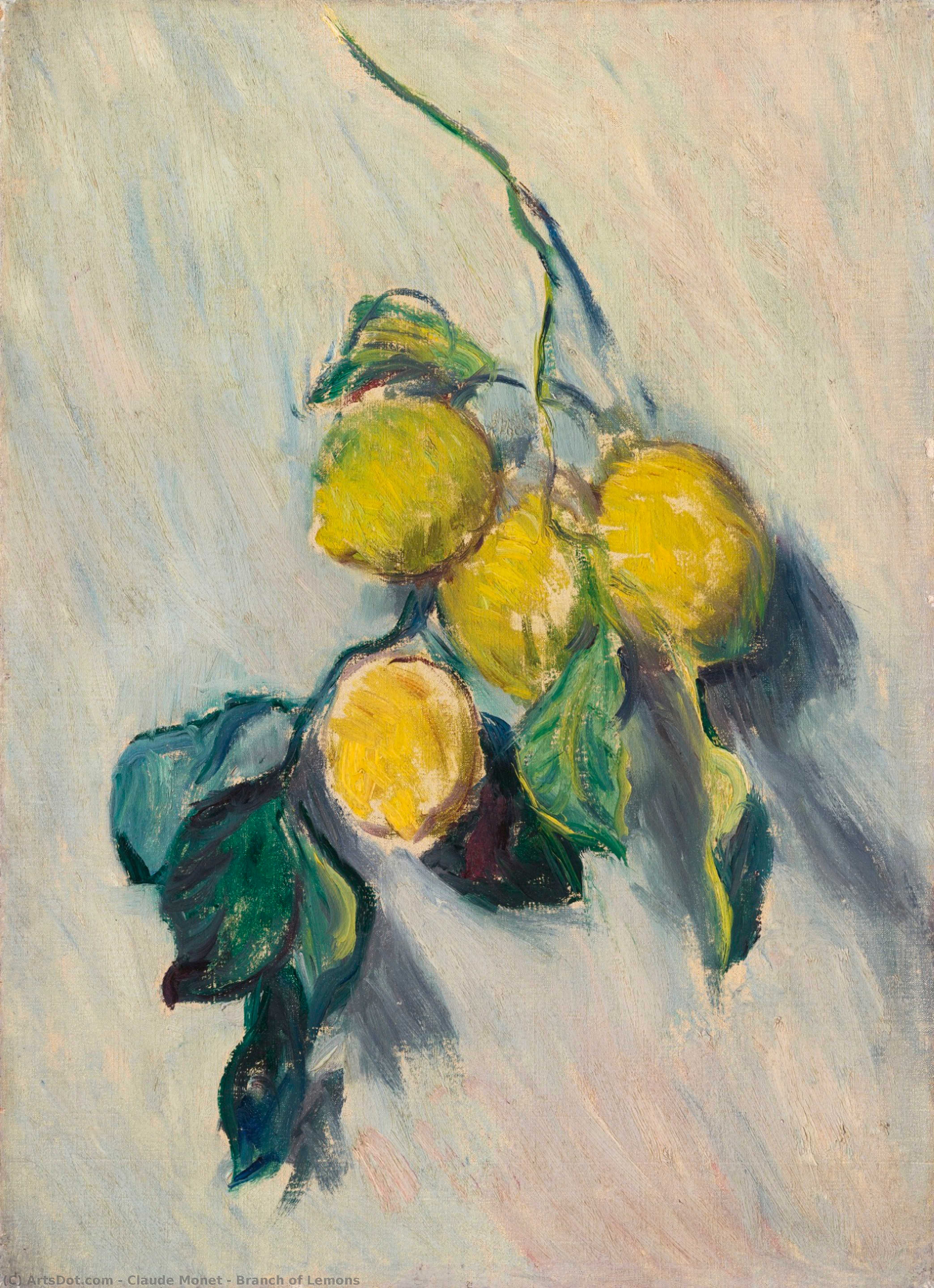 Ramo Di Limoni — Claude Monet
